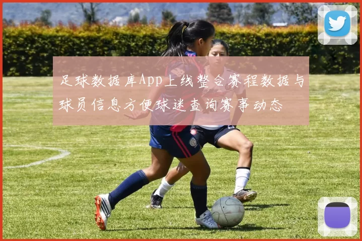 足球数据库App上线整合赛程数据与球员信息方便球迷查询赛事动态
