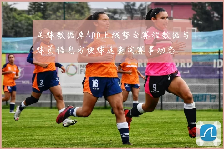 足球数据库App上线整合赛程数据与球员信息方便球迷查询赛事动态