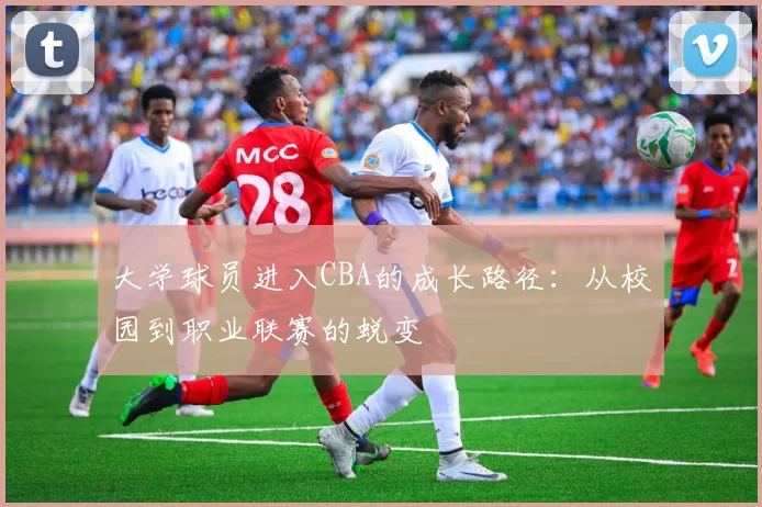 大学球员进入CBA的成长路径:从校园到职业联赛的蜕变
