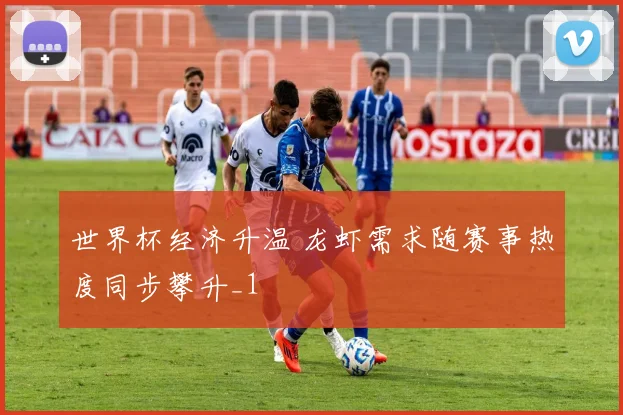 世界杯经济升温 龙虾需求随赛事热度同步攀升_1