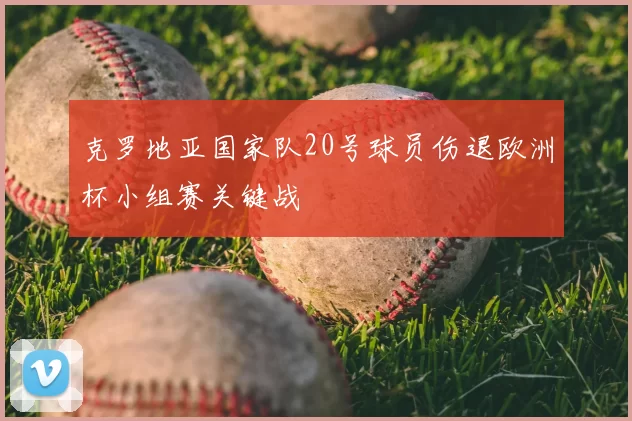 克罗地亚国家队20号球员伤退欧洲杯小组赛关键战