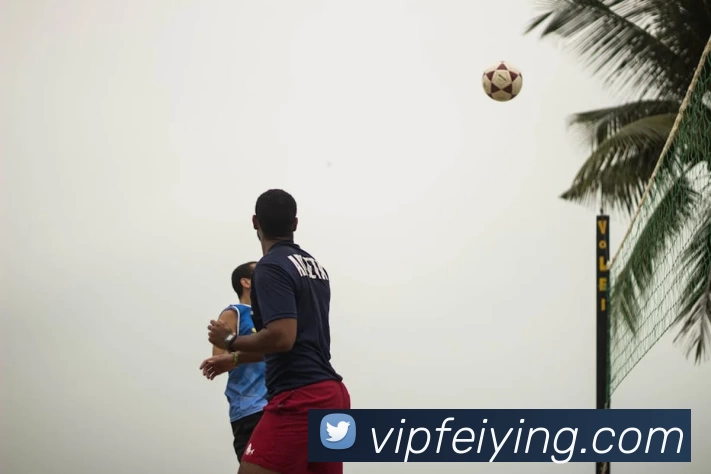 星空体育首页入口发展历程